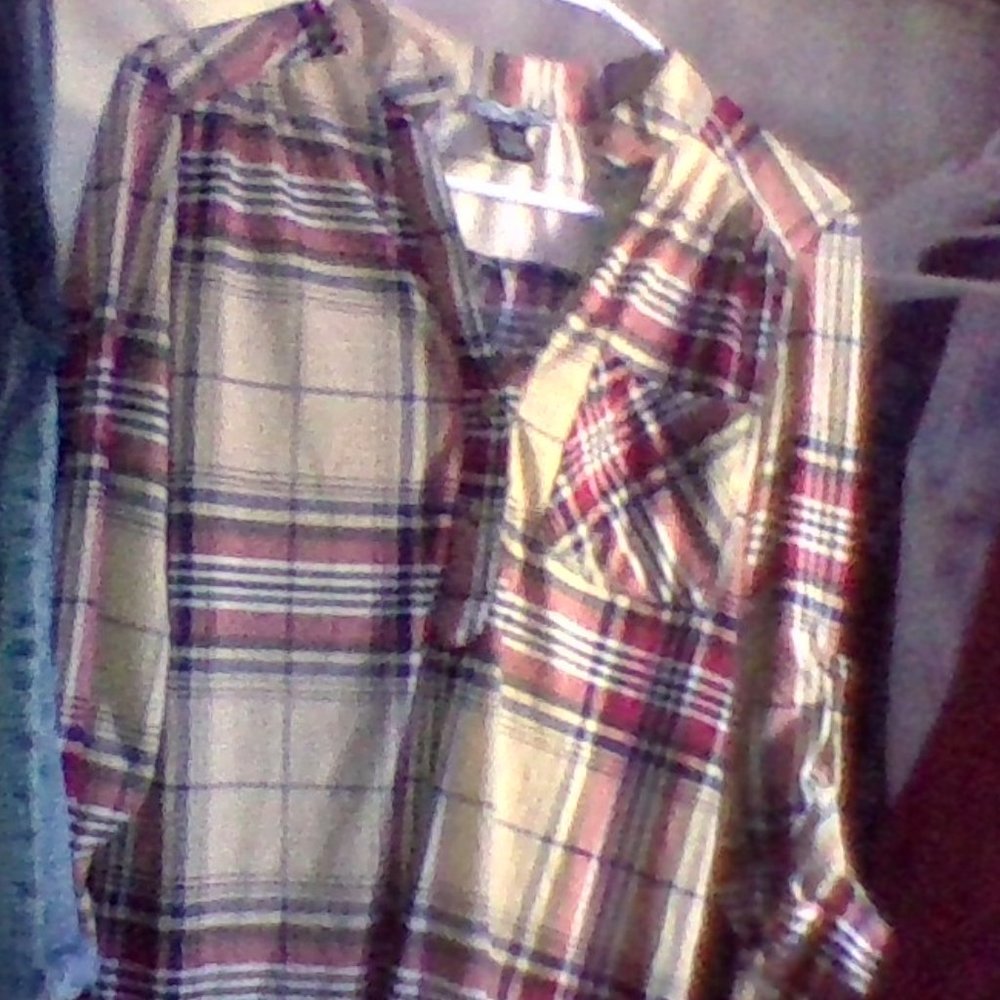 a button down shirt